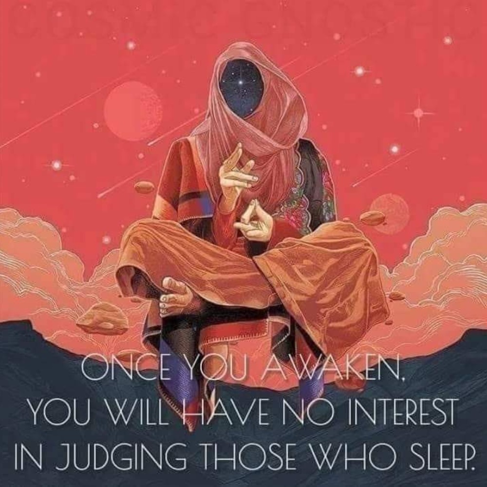 Meet your Posher, Darrin